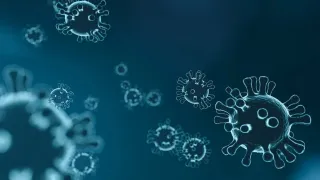 Coronavirus, in Calabria 237 nuovi casi positivi e 6 decessi: il bollettino della Regione
