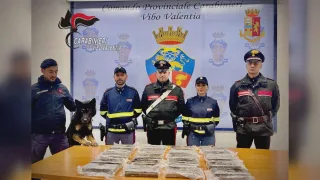In auto con ventidue kg di cocaina: arrestato 41enne a Vibo