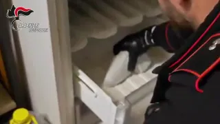 Nascondeva arma e proiettili in freezer: arrestato 55enne