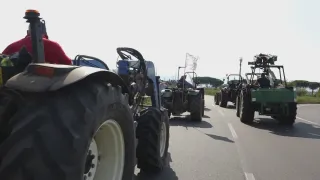 Prosegue la protesta degli agricoltori: nel Cosentino sversati litri di latte in strada