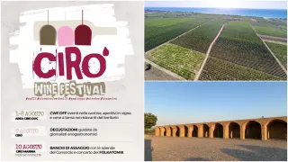 Cirò Wine Festival, dieci giorni alla scoperta delle eccellenze del territorio: il programma dettagliato