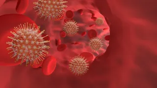 Coronavirus, 8 vittime e 300 nuovi casi nel bollettino regionale