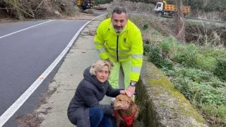 Strada Statale 19, cane salvato durante i lavori