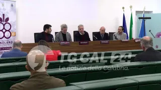 Presentata in Regione la quarta edizione di "Wineland"