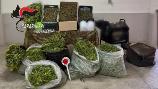 Mileto, sequestrati oltre 120 kg di cannabis: due arresti