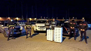 Crotone, sequestrata mezza tonnellata di novellame di sarda: multa salata per il trasportatore