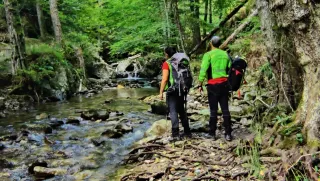 Ritrovato nel Parco della Sila il 72enne scomparso da giorni
