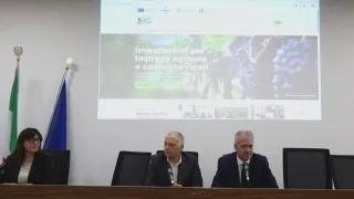 CSR Calabria, presentato il nuovo portale istituzionale