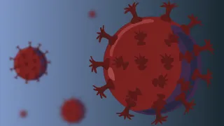 Coronavirus, trovate le varianti di SARS-CoV-2 nelle acque di scarico: la ricerca dell’ISS