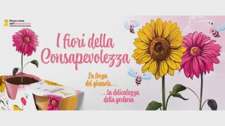 APPUNTAMENTI | A Crotone sbocciano i "Fiori della Consapevolezza"