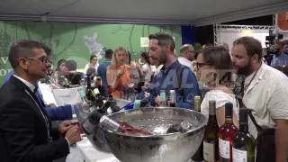 GLI SPECIALI DI VIDEO CALABRIA | Vinòforum 2024: eccellenze calabresi a Roma