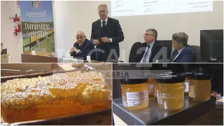 VIDEO | Calabria sesta in Italia per la produzione di miele: il settore apistico è un'eccellenza