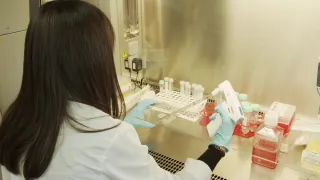 Università: il Coruc apre alla possibilità di tre nuovi corsi a Crotone