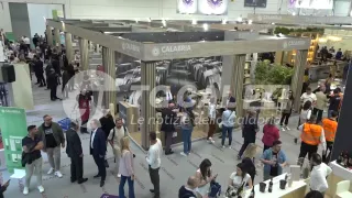 VINITALY 2024 | Calabria, terra d'eccellenze tra vino ed olio
