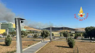 Vasto incendio a Germaneto tra il palazzo della Regione e l'università