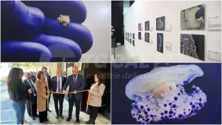 "Fotciencia20": scienza e tecnologie in 49 scatti al Museo di Pitagora