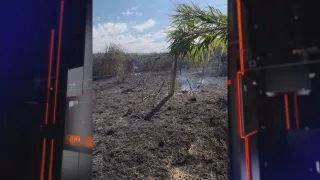 Nuova intimidazione a imprenditrice, in fiamme kiwi e ulivi