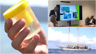 Regione Calabria ed Arpacal smentiscono i dati di Goletta Verde