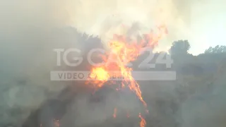 Numerosi incendi di bosco in provincia di Reggio Calabria: la situazione è critica