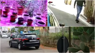 Blitz antidroga nel Reggino: eseguite 13 misure cautelari tra le "nuove leve" dello spaccio (VIDEO)
