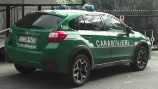 Scoperta truffa contro l'Ente parco d'Aspromonte e Calabria Verde