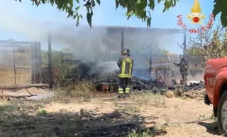 Badolato: anziano muore tentando di salvare il pollaio da un incendio