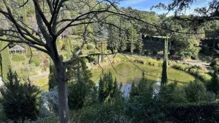 Da Calabria Verde un bando per 15 Piani di gestione forestale