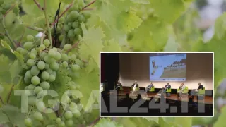 Lo sviluppo del turismo nel Crotonese passa dalle eccellenze dell'agroalimentare (VIDEO)
