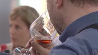 VIDEO | Vino Cirò Doc, grazie ai dati cresce il marketing: è la wine intelligence