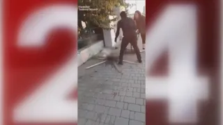 Ragazzo arrostisce gatto tra le urla di una passante nel Livornese (VIDEO)