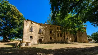 Patata della Sila, la sfida è il futuro: a Celico riflettori sulla filiera