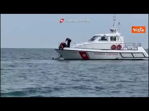 Delfino intrappolato in una rete da pesca, liberato dalla Guardia Costiera