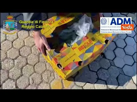 Sequestrate tre tonnellate di cocaina al porto di Gioia Tauro in Calabria