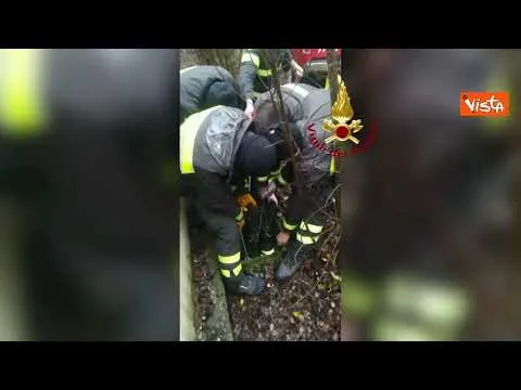 75enne tenta di salvare cane caduto in un pozzo, l'intervento dei vigili del fuoco