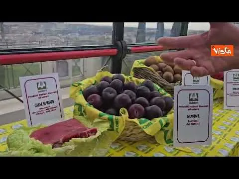 L'allarme di Coldiretti: "Molti prodotti del Made in Italy bloccati all'estero"