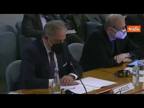 Moles: "Fake news sono nemico da combattere, rischio serissimo per democrazia"
