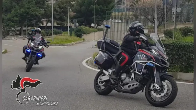 Reggio Calabria, serra di marijuana in casa: arrestato un giovane