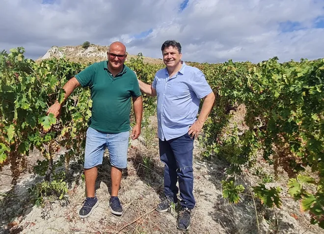 Su VideoCalabria uno speciale dedicato allo straordinario passito Greco di Bianco prodotto dall'azienda Ceratti