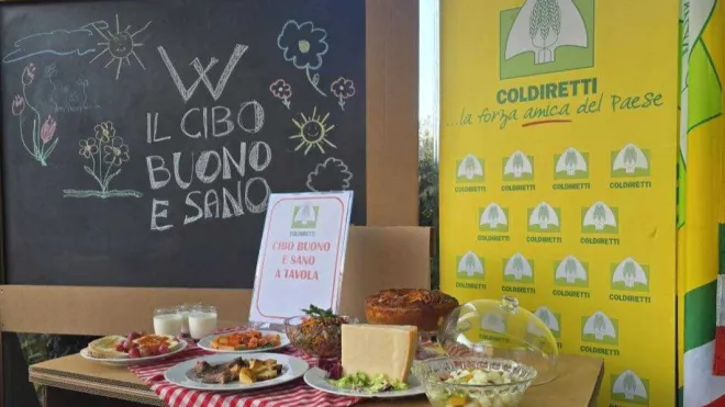 Mense scolastiche, Coldiretti Calabria contro Bruxelles: "Sì ai prodotti locali"