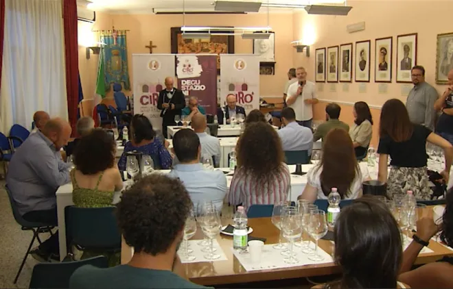 Gli esperti elogiano i vini Cirò Doc: "Una produzione di qualità assoluta e pulizia enologica ineccepibile"
