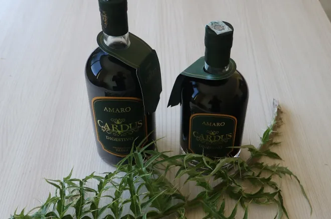 Kaulonia Tarantella Festival, è l'amaro Cardus di Brancaleone lo sponsor ufficiale della manifestazione