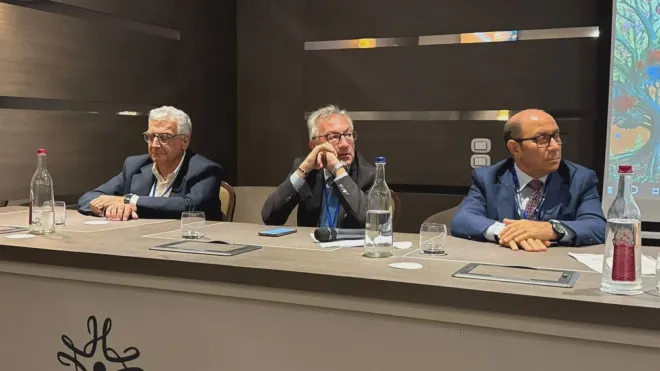 Ictus e malattie neurodegenerative: ricerca, innovazione e nuove sfide a Catanzaro