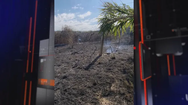 Nuova intimidazione a imprenditrice, in fiamme kiwi e ulivi