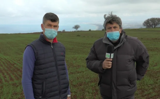 “Catanzaro e dintorni” su VideoCalabria: coltivare grano antico Rosìa sull'altopiano che guarda il Golfo di Lamezia