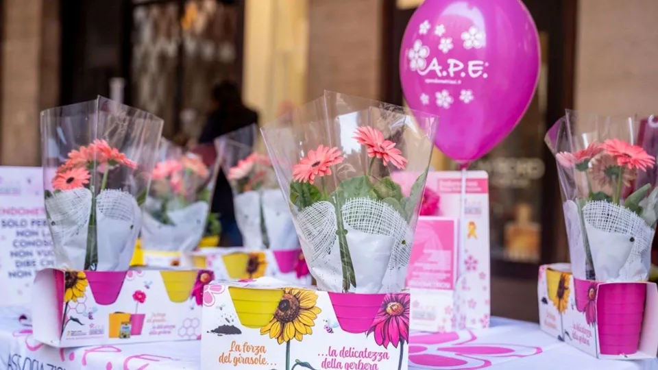 Endometriosi: a Crotone tornano “I Fiori della consapevolezza”