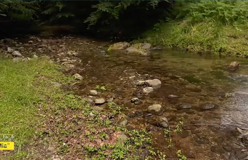 Viaggio nella Sila piccola, in contatto simbiotico con una natura incontaminata (Video)
