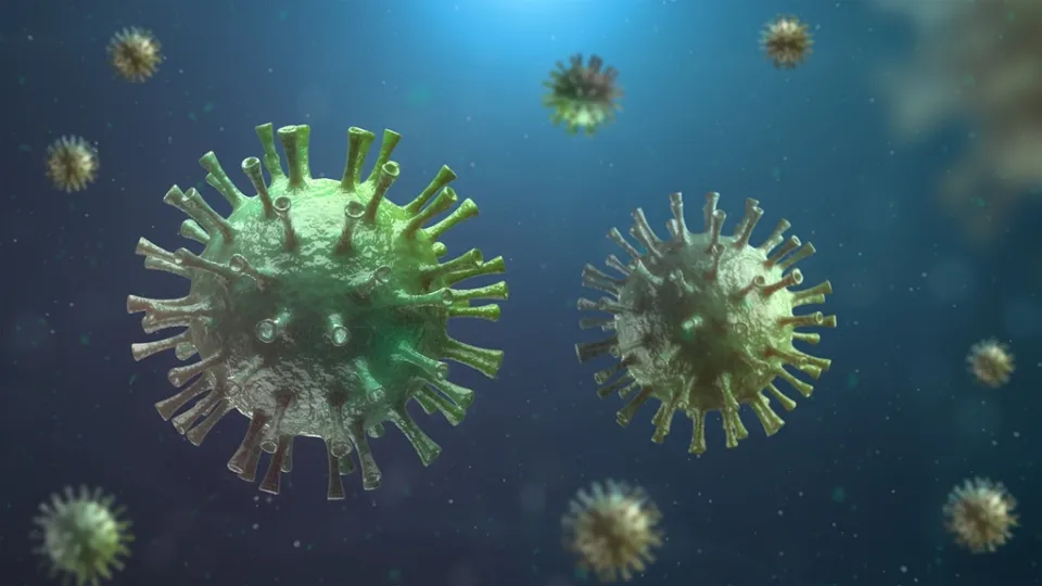 Coronavirus, in Calabria 239 nuovi casi positivi e nessun decesso: il bollettino della Regione del 13 agosto