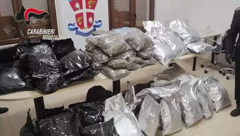 Sequestrati 80 kg di marijuana nel Reggino: blitz dei Carabinieri