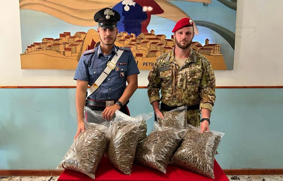 Nove kg marijuana sequestrati a Mesoraca: tra i 3 arrestati c'è un consigliere comunale