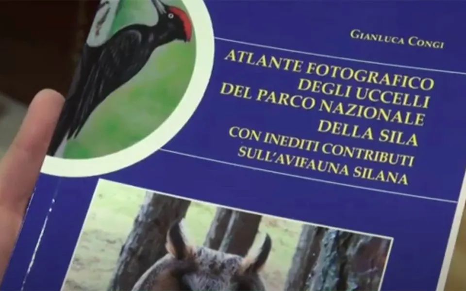 Helios: scatti rari e suggestivi nell'"Atlante fotografico degli uccelli del Parco nazionale della Sila"